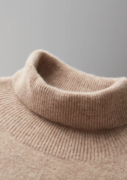 Pure Extra-Fine Merino Wool Classic Rollneck, view 5
