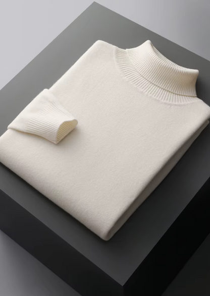 Pure Extra-Fine Merino Wool Classic Rollneck, view 7